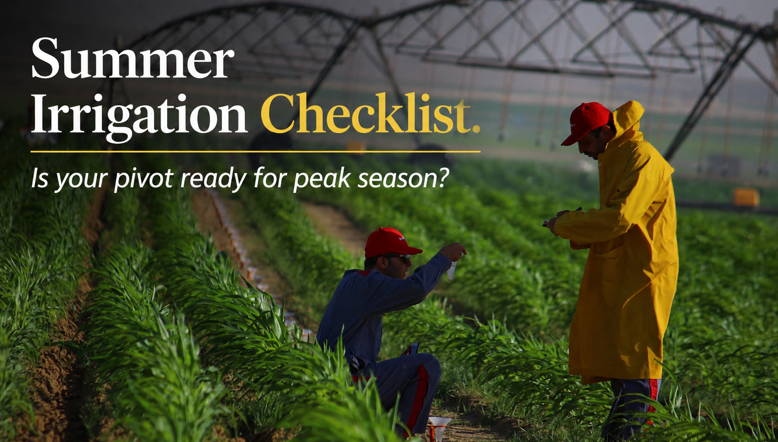 Irrigation checklist